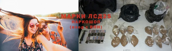 стаф Абдулино