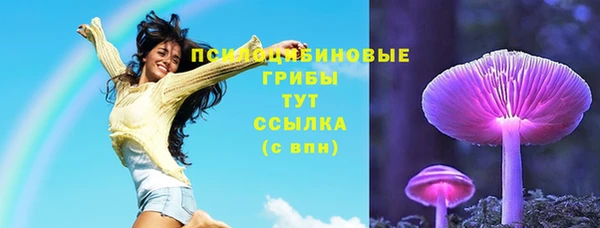стаф Абдулино