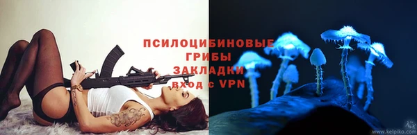 молекула духа Алексеевка