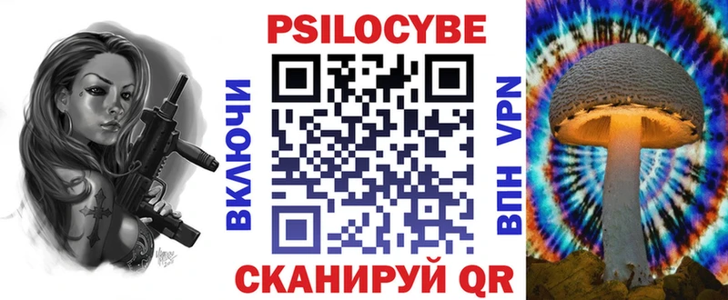 закладки  Подольск  Галлюциногенные грибы Psilocybe 