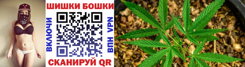цена   Подольск  Шишки марихуана White Widow 